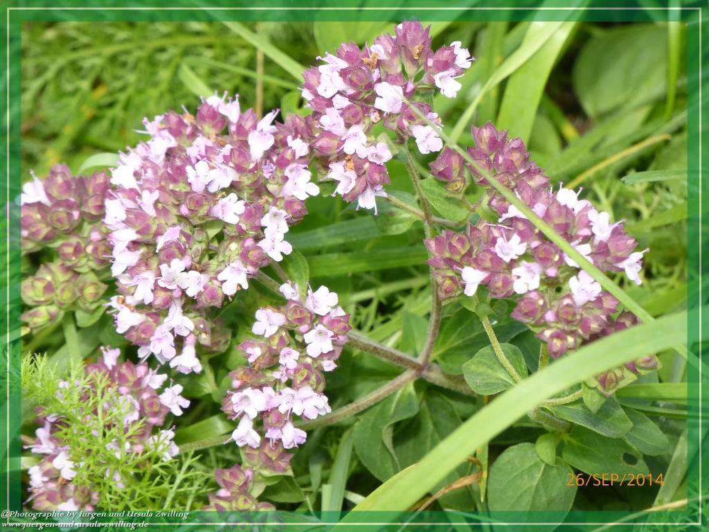 Philosophische Bildwanderung Hiwweltour-Bismarckturm
