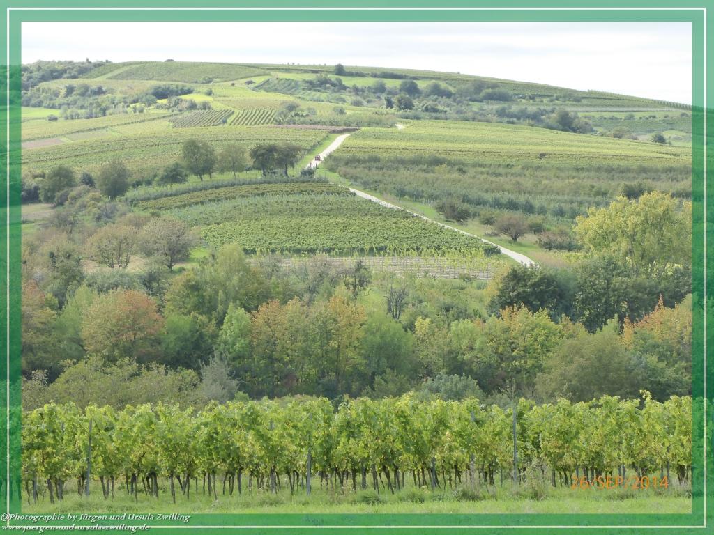 Philosophische Bildwanderung Hiwweltour-Bismarckturm