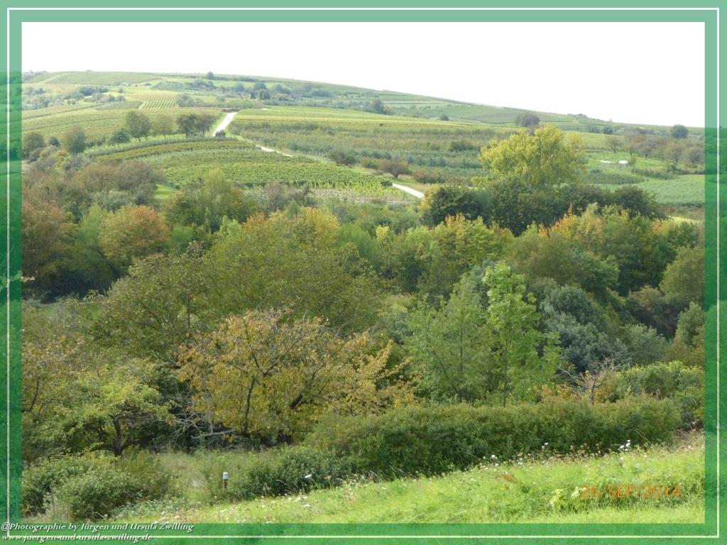 Philosophische Bildwanderung Hiwweltour-Bismarckturm