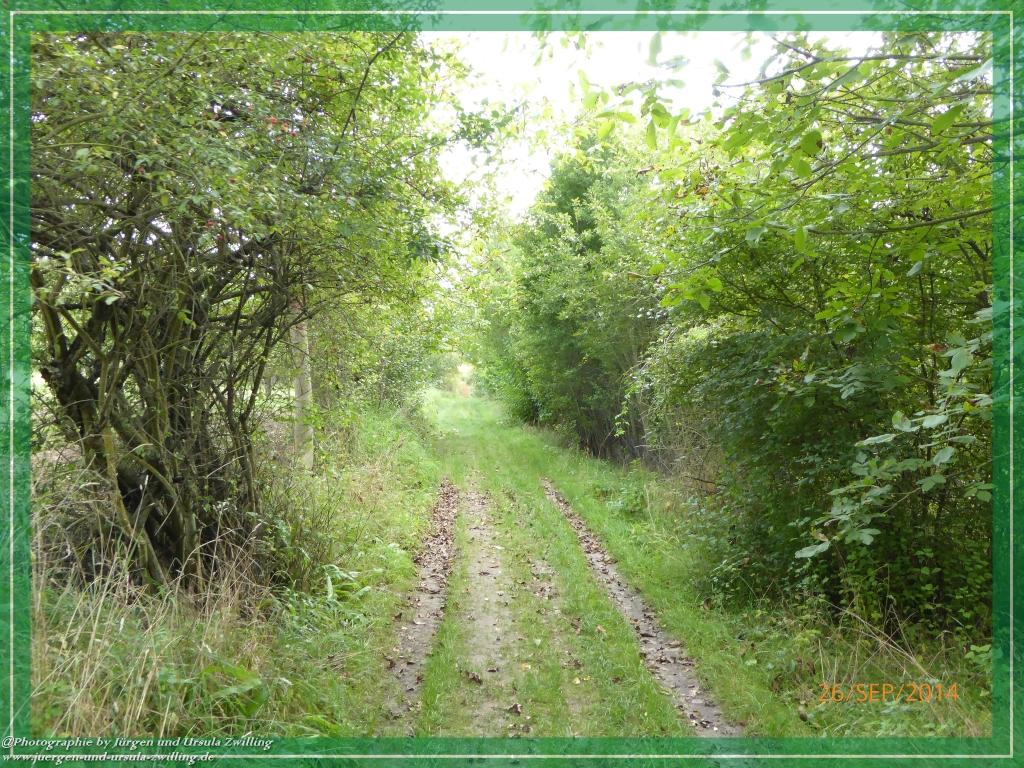 Philosophische Bildwanderung Hiwweltour-Bismarckturm
