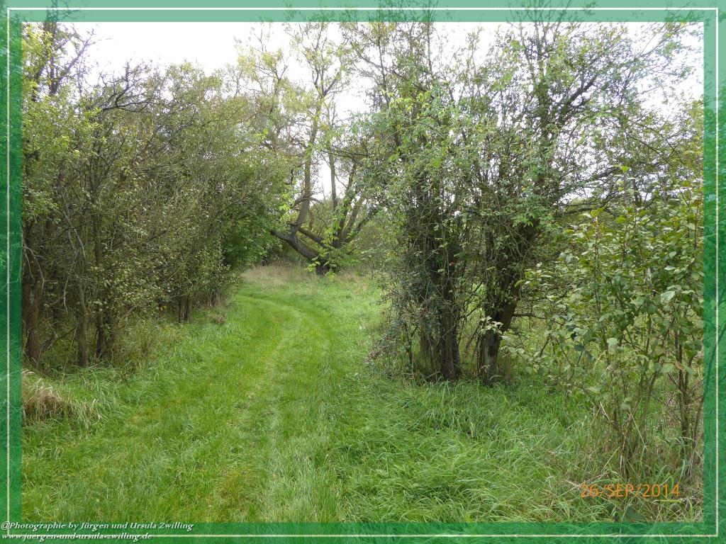 Philosophische Bildwanderung Hiwweltour-Bismarckturm