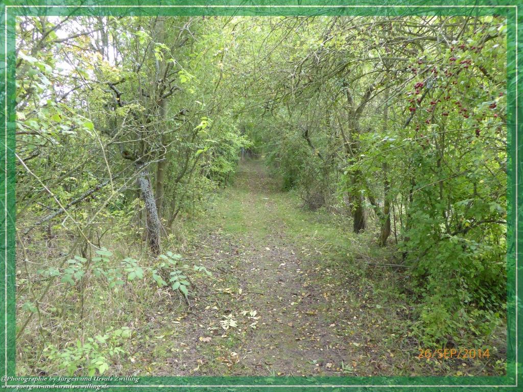 Philosophische Bildwanderung Hiwweltour-Bismarckturm