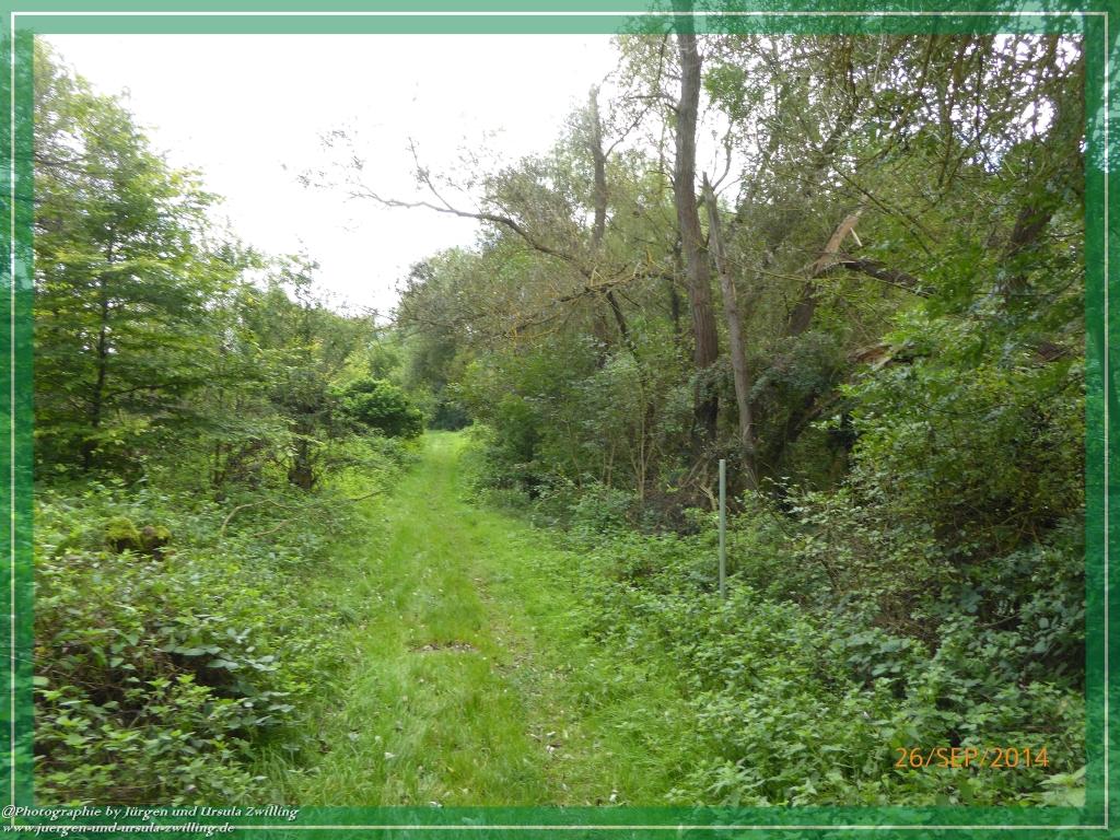 Philosophische Bildwanderung Hiwweltour-Bismarckturm