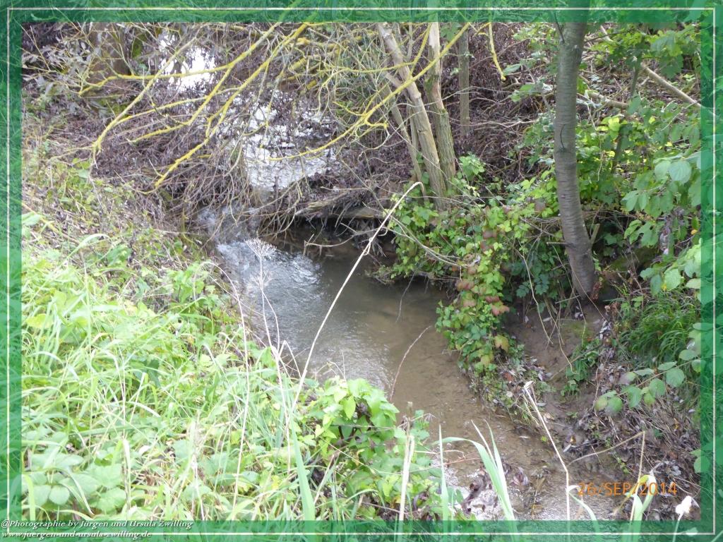 Philosophische Bildwanderung Hiwweltour-Bismarckturm