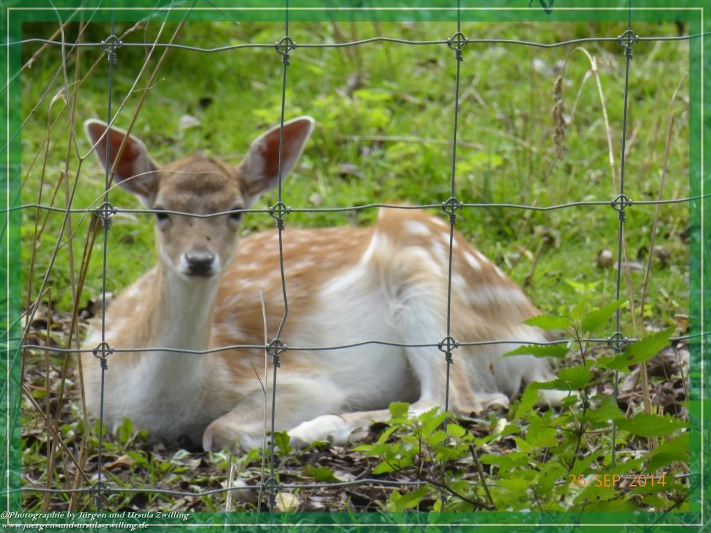 Philosophische Bildwanderung Hiwweltour-Bismarckturm