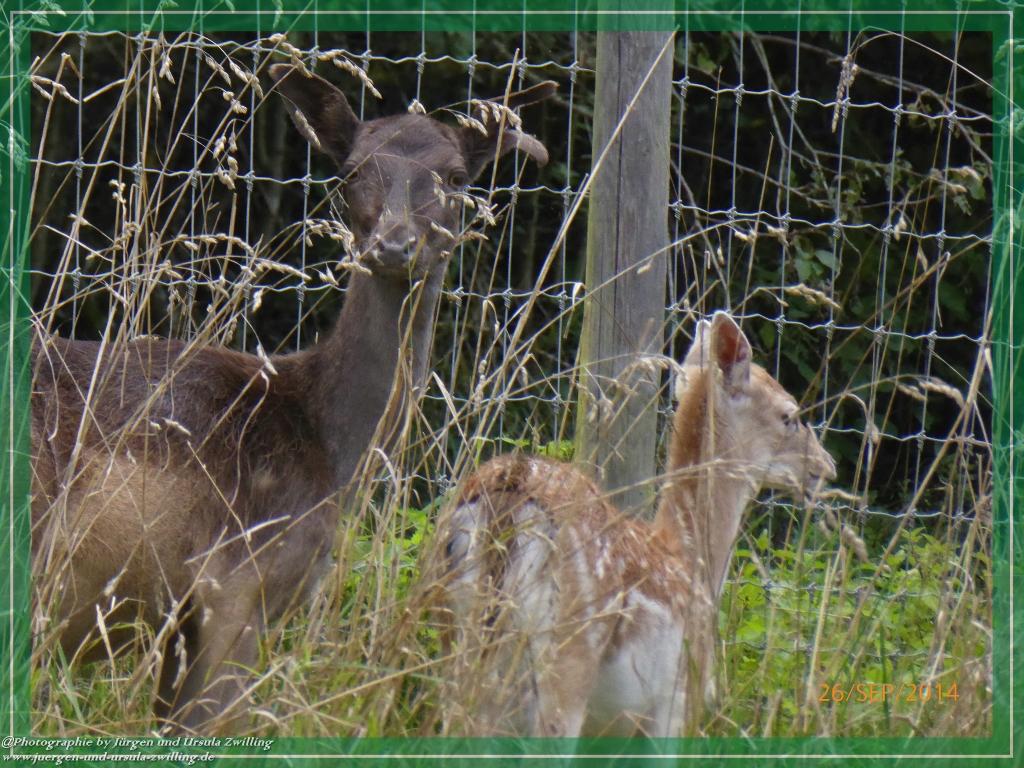 Philosophische Bildwanderung Hiwweltour-Bismarckturm