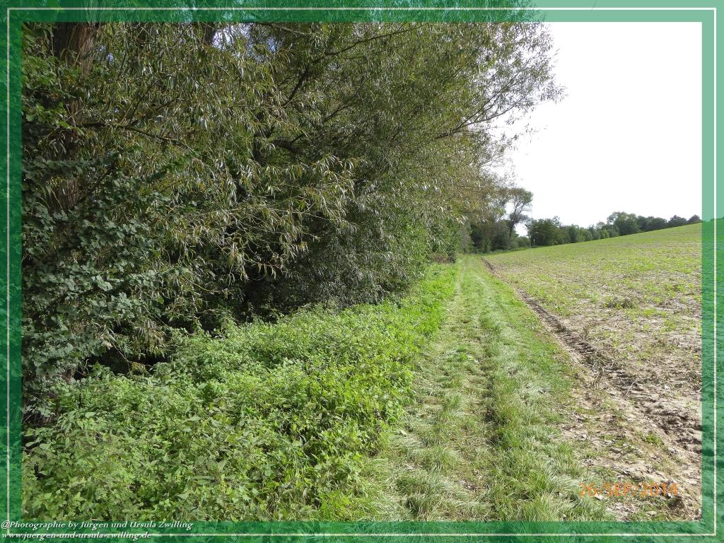 Philosophische Bildwanderung Hiwweltour-Bismarckturm