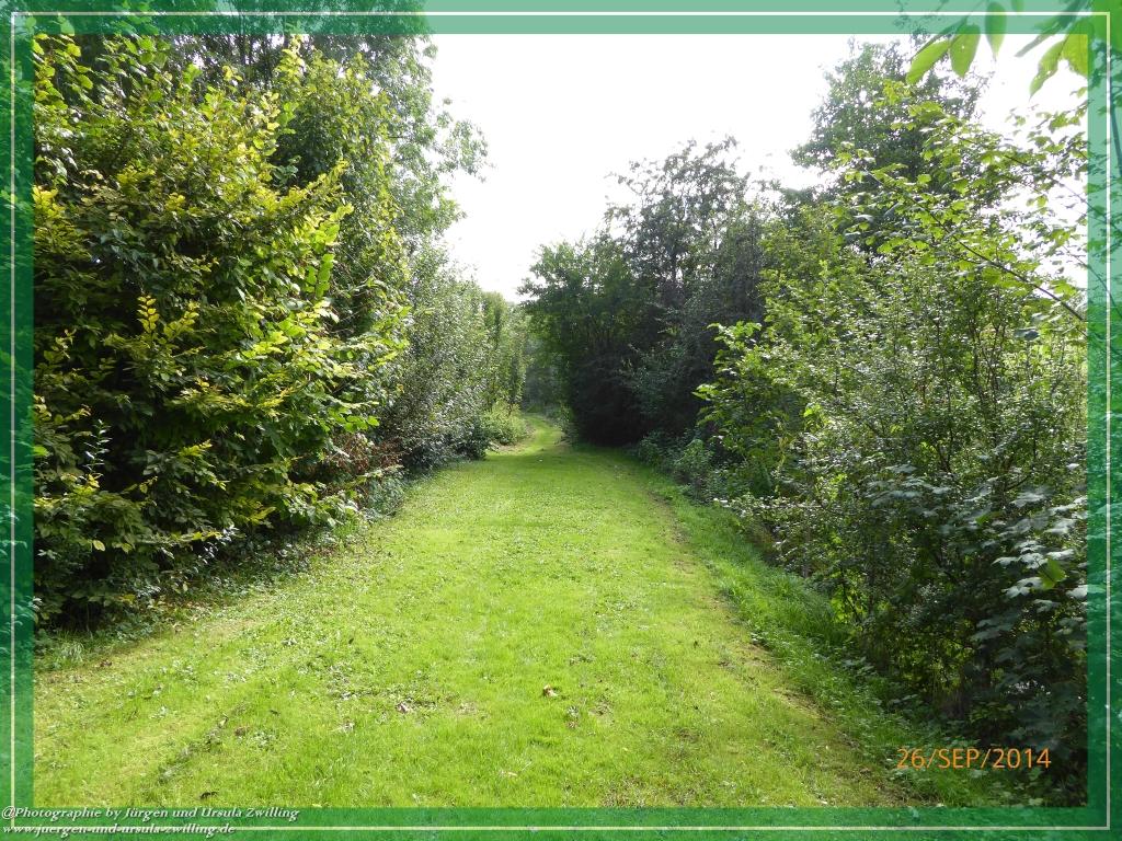 Philosophische Bildwanderung Hiwweltour-Bismarckturm