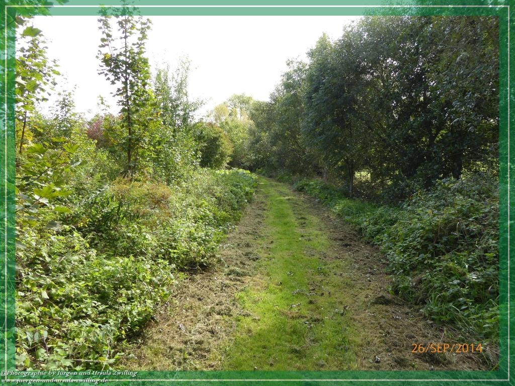 Philosophische Bildwanderung Hiwweltour-Bismarckturm