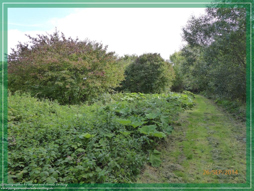 Philosophische Bildwanderung Hiwweltour-Bismarckturm