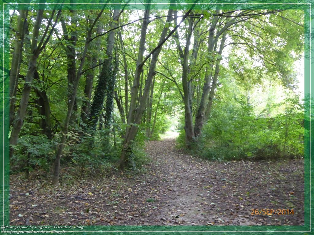 Philosophische Bildwanderung Hiwweltour-Bismarckturm