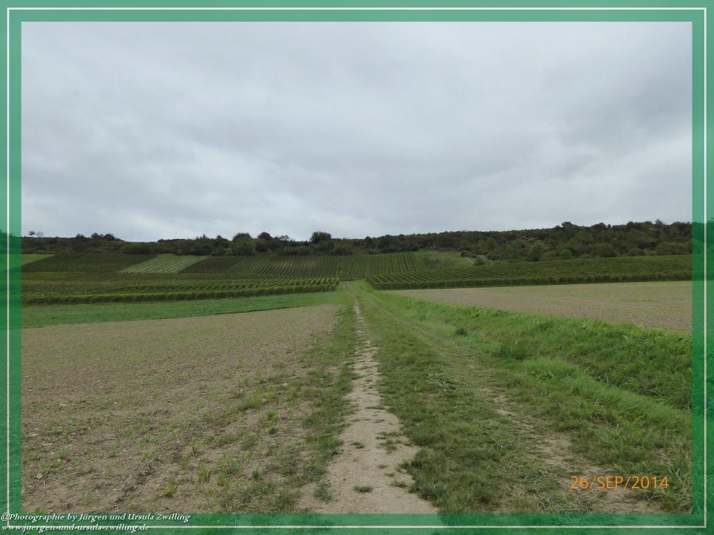 Philosophische Bildwanderung Hiwweltour-Bismarckturm