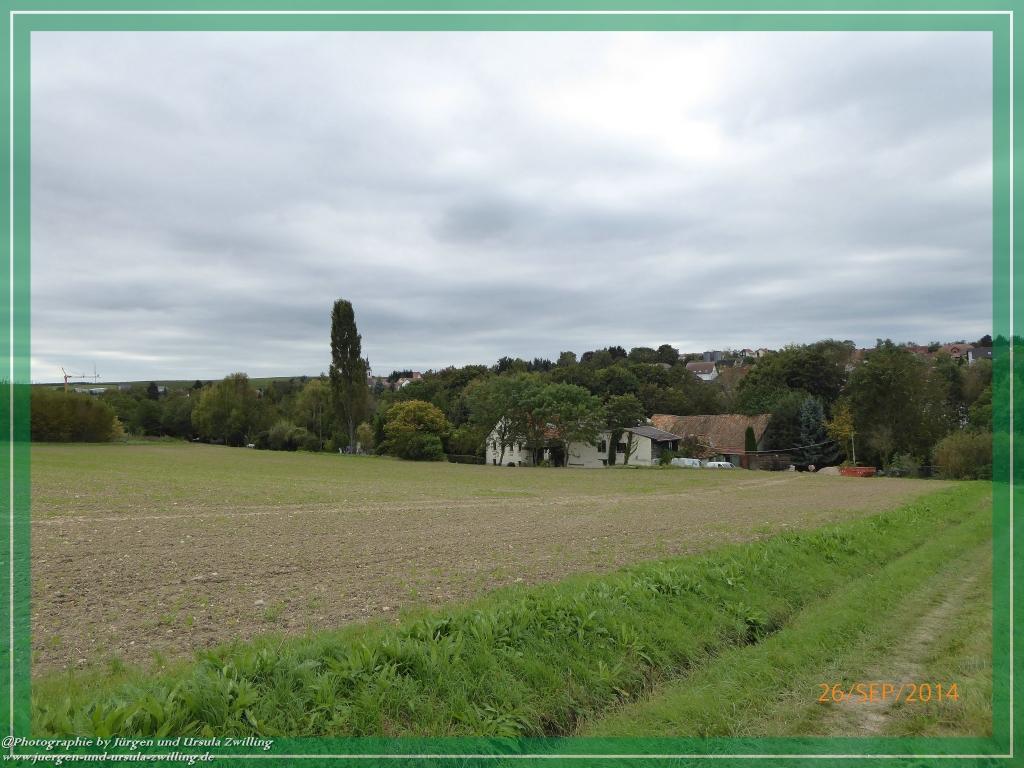 Philosophische Bildwanderung Hiwweltour-Bismarckturm