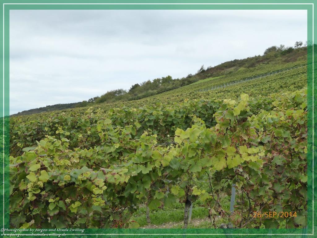 Philosophische Bildwanderung Hiwweltour-Bismarckturm