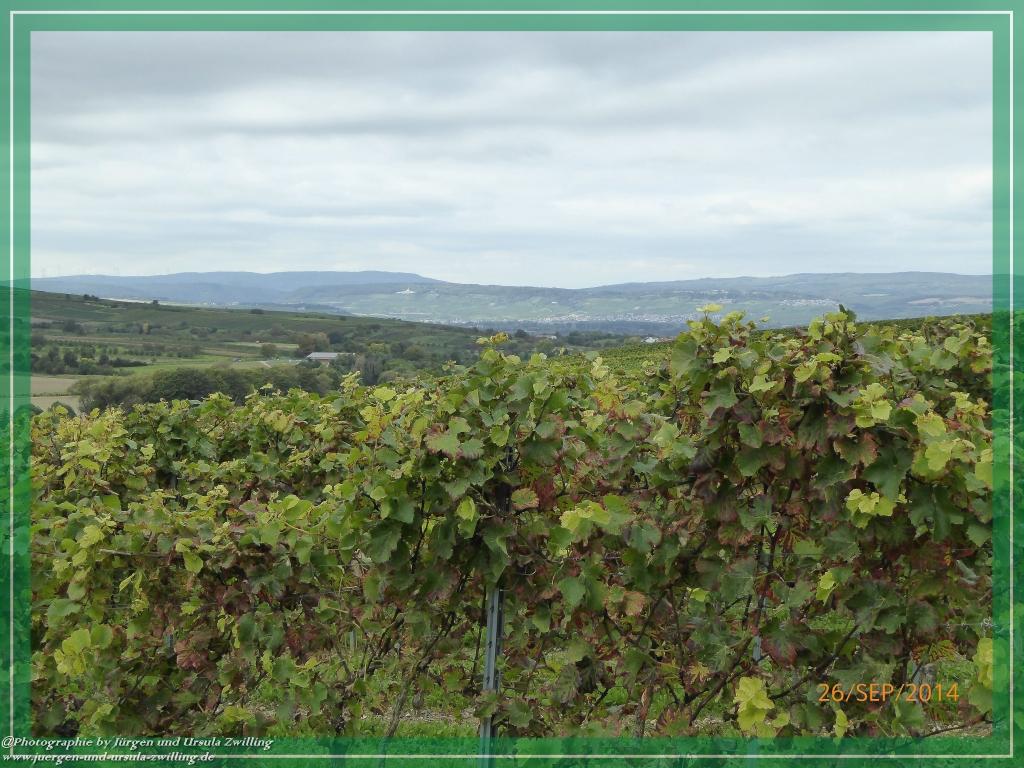 Philosophische Bildwanderung Hiwweltour-Bismarckturm