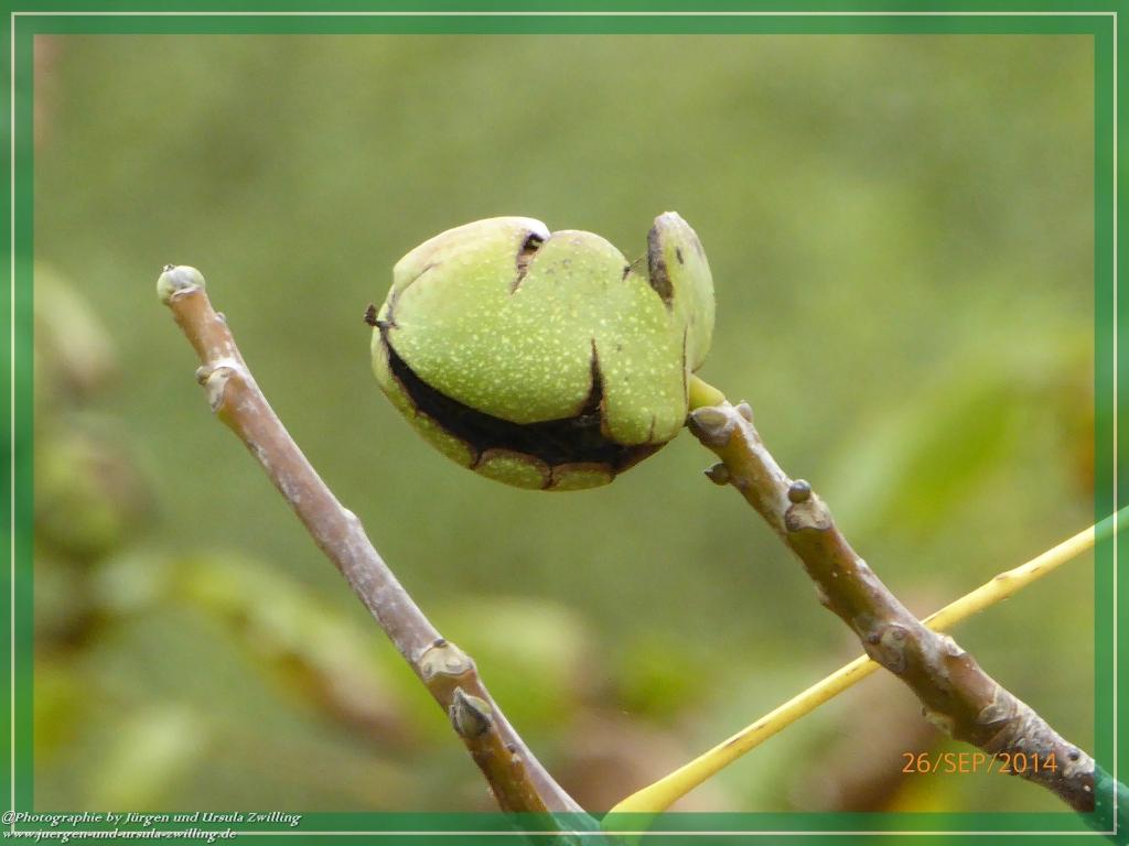 Philosophische Bildwanderung Hiwweltour-Bismarckturm