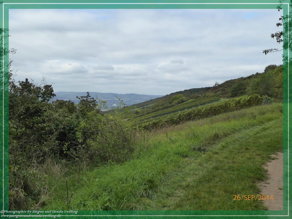 Philosophische Bildwanderung Hiwweltour-Bismarckturm