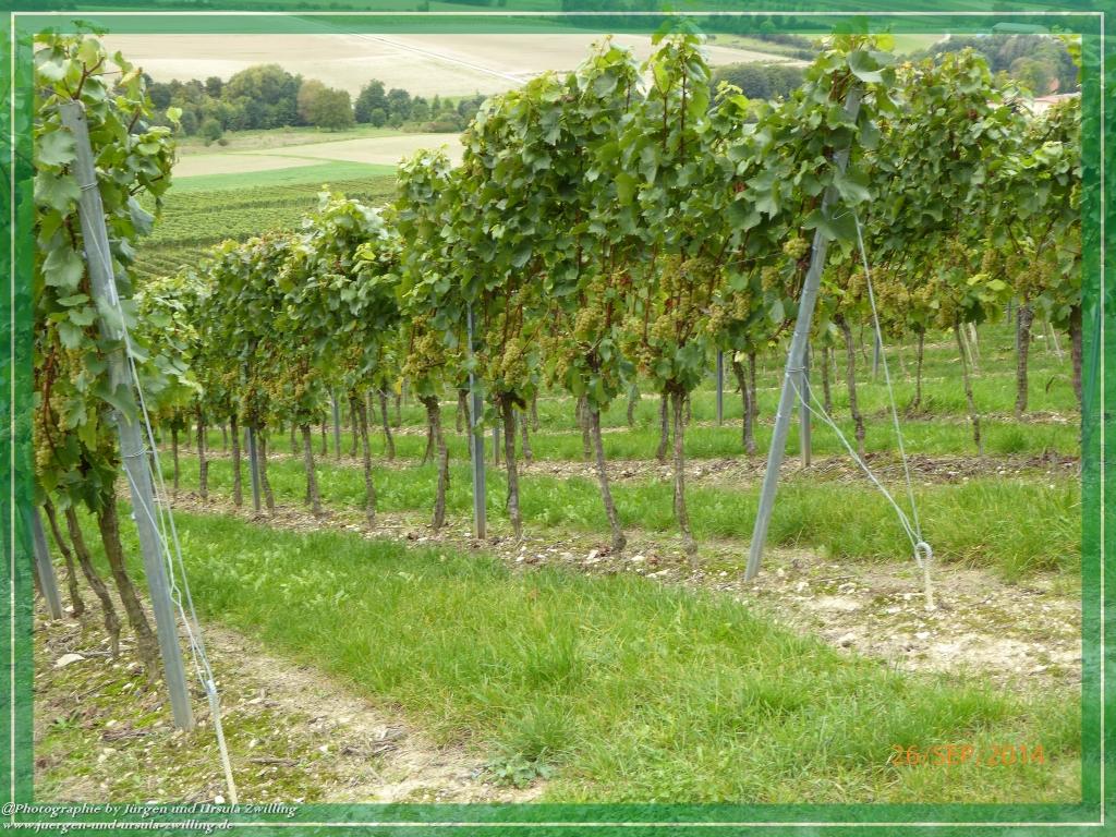 Philosophische Bildwanderung Hiwweltour-Bismarckturm