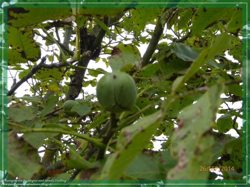 Philosophische Bildwanderung Hiwweltour-Bismarckturm