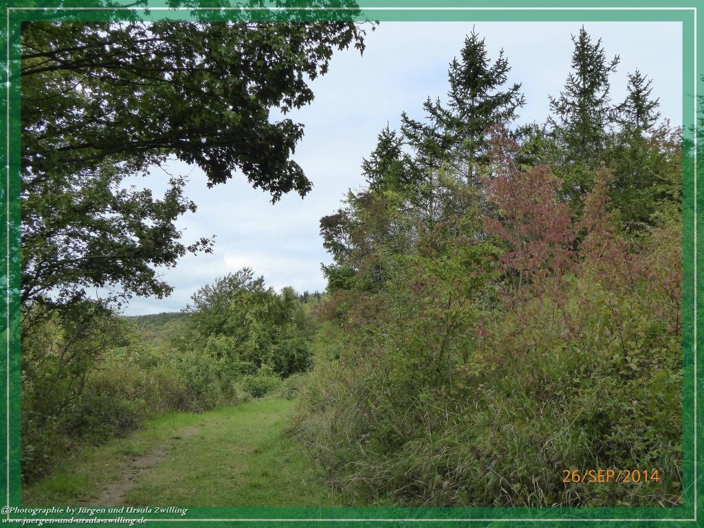 Philosophische Bildwanderung Hiwweltour-Bismarckturm