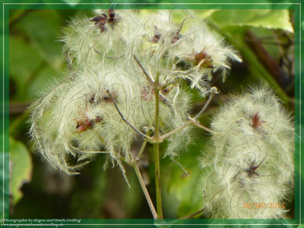 Philosophische Bildwanderung Hiwweltour-Bismarckturm