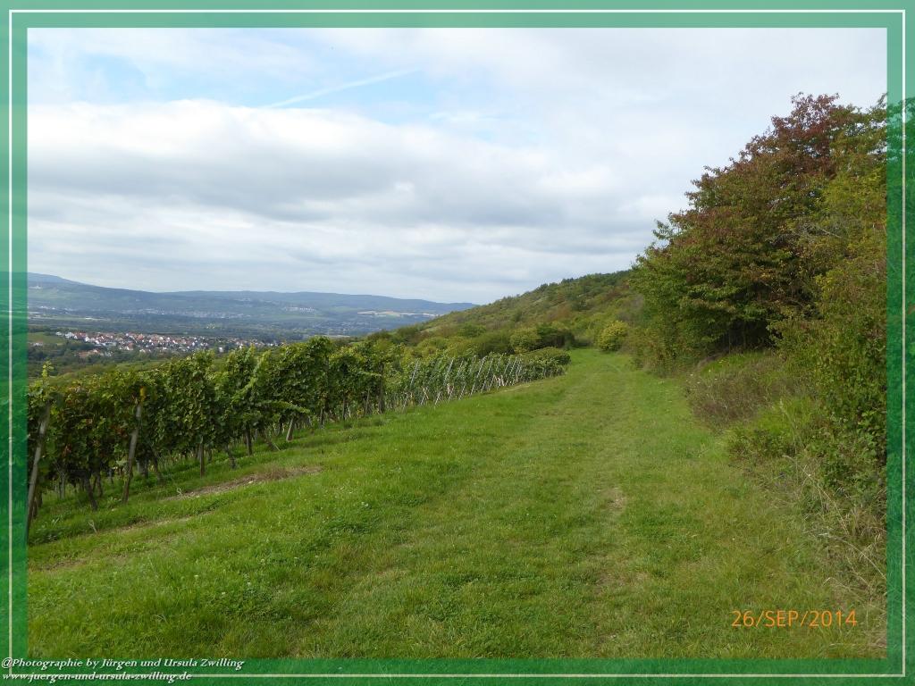 Philosophische Bildwanderung Hiwweltour-Bismarckturm