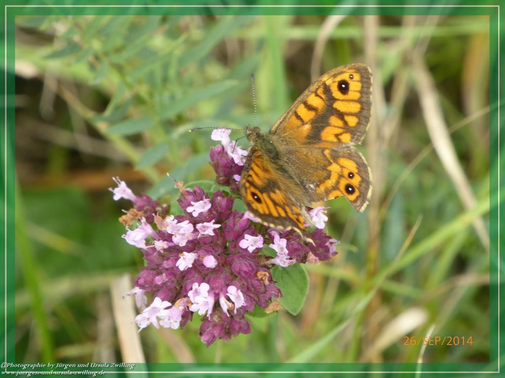 Philosophische Bildwanderung Hiwweltour-Bismarckturm