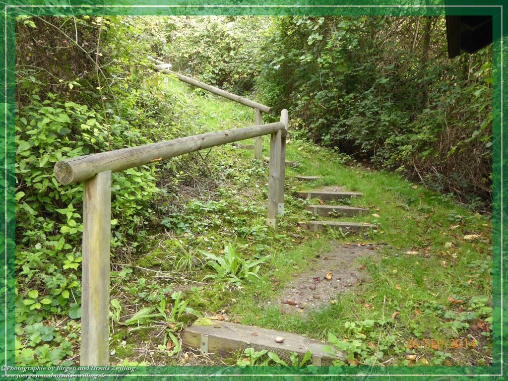 Philosophische Bildwanderung Hiwweltour-Bismarckturm