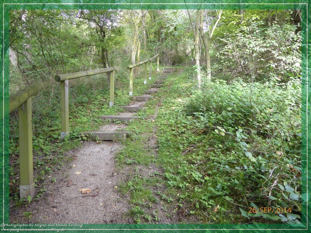 Philosophische Bildwanderung Hiwweltour-Bismarckturm