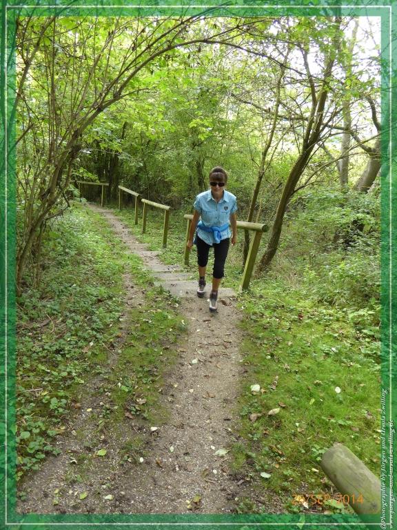 Philosophische Bildwanderung Hiwweltour-Bismarckturm