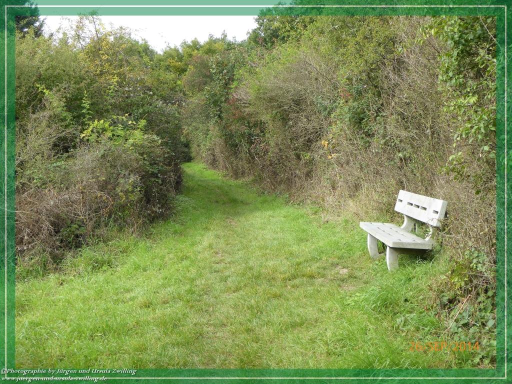 Philosophische Bildwanderung Hiwweltour-Bismarckturm