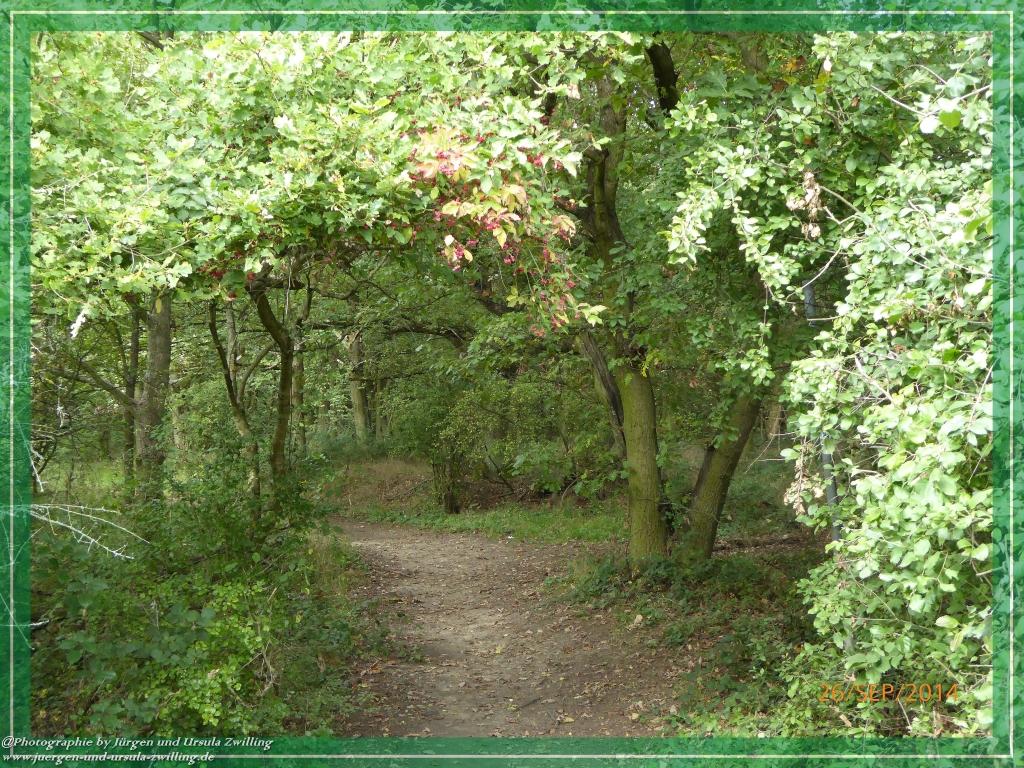 Philosophische Bildwanderung Hiwweltour-Bismarckturm