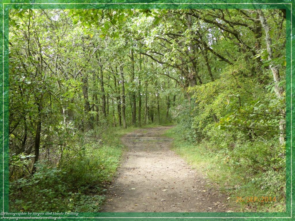 Philosophische Bildwanderung Hiwweltour-Bismarckturm
