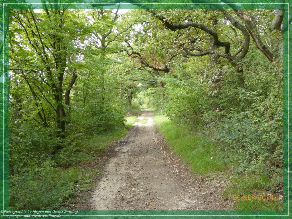 Philosophische Bildwanderung Hiwweltour-Bismarckturm