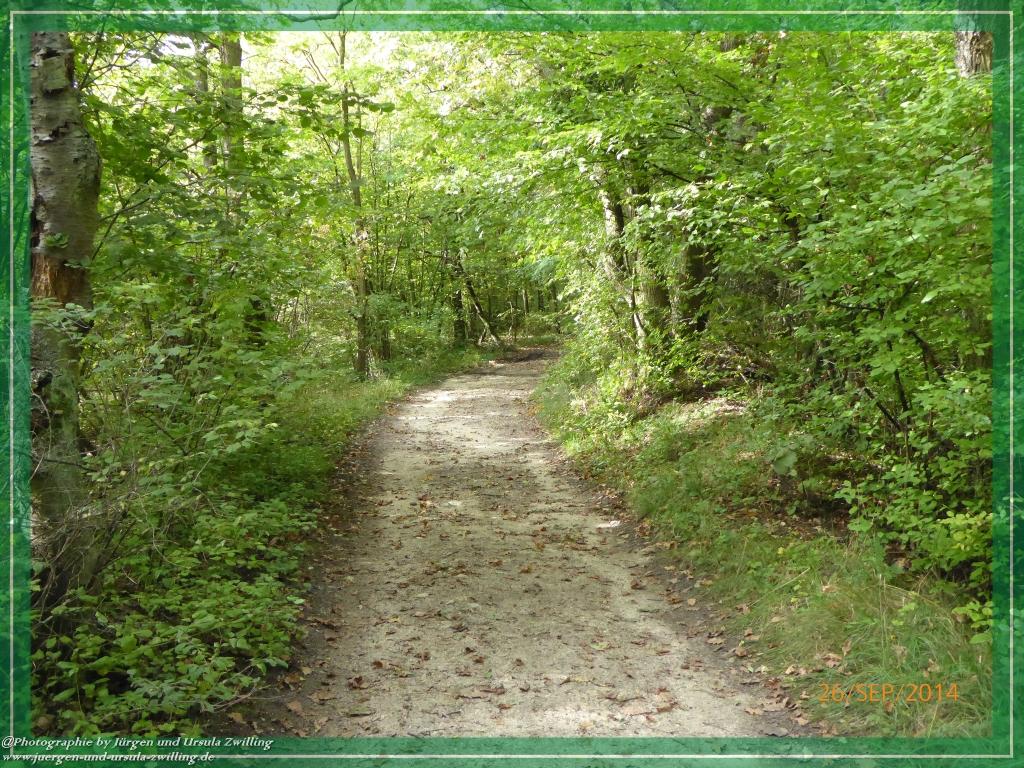 Philosophische Bildwanderung Hiwweltour-Bismarckturm