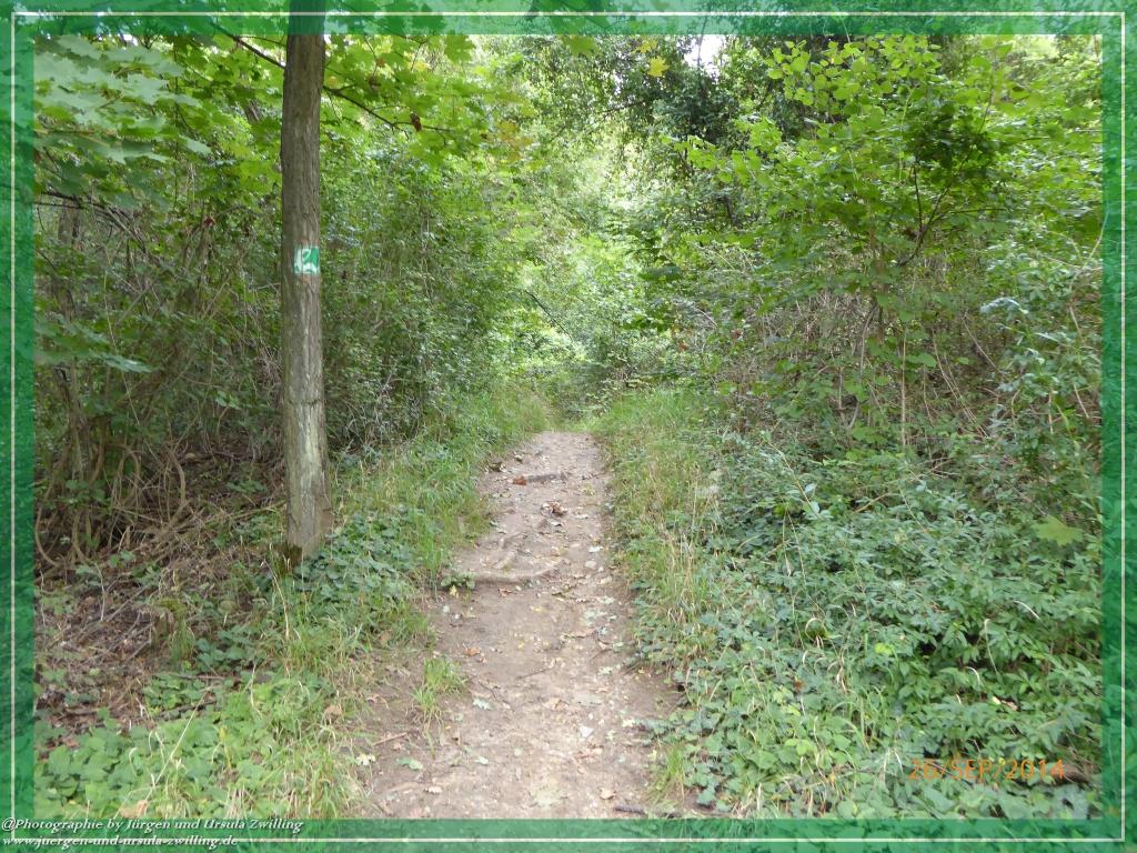 Philosophische Bildwanderung Hiwweltour-Bismarckturm