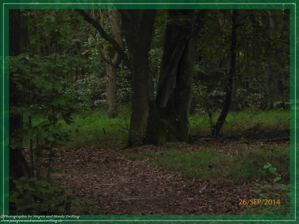 Philosophische Bildwanderung Hiwweltour-Bismarckturm