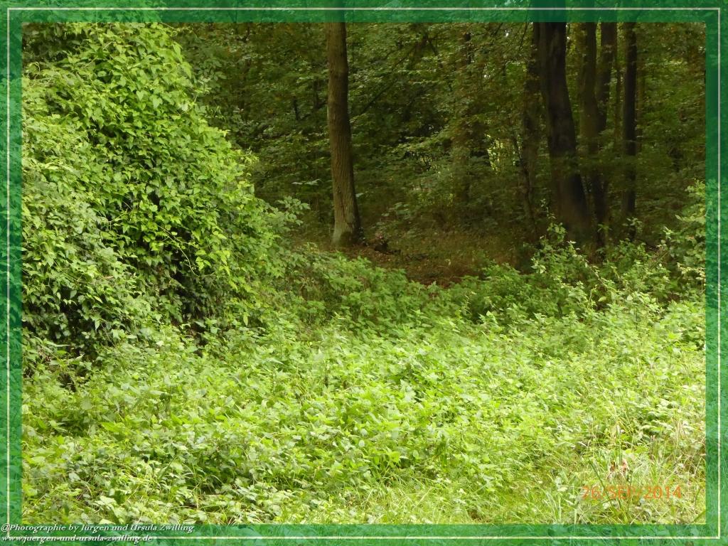 Philosophische Bildwanderung Hiwweltour-Bismarckturm