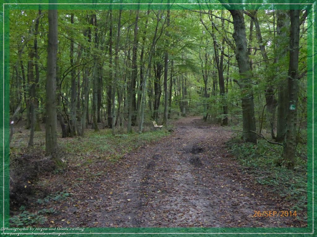 Philosophische Bildwanderung Hiwweltour-Bismarckturm