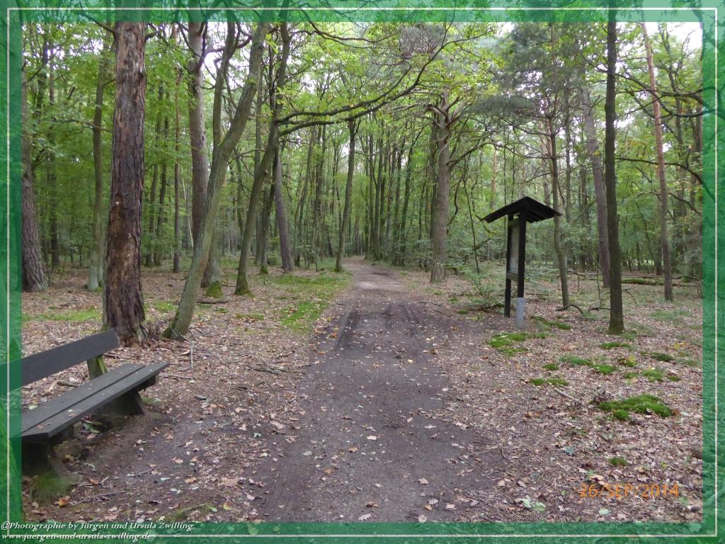Philosophische Bildwanderung Hiwweltour-Bismarckturm