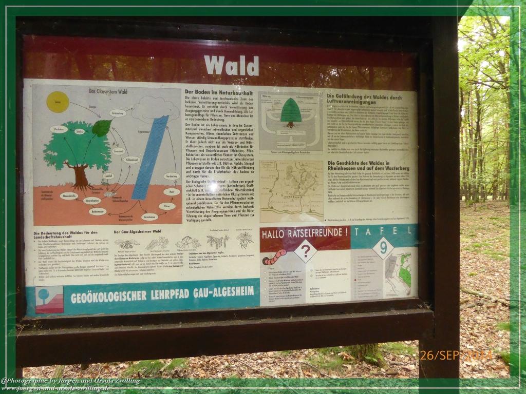 Philosophische Bildwanderung Hiwweltour-Bismarckturm