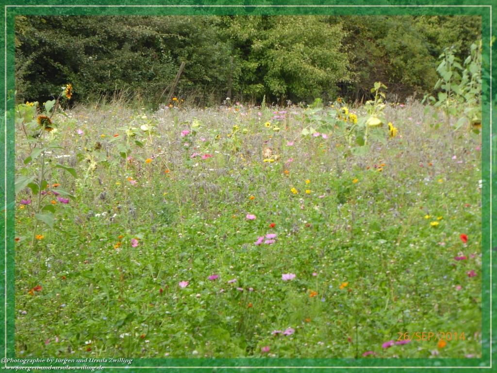 Philosophische Bildwanderung Hiwweltour-Bismarckturm