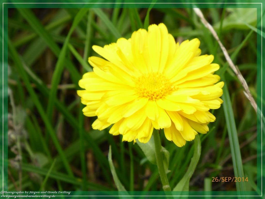 Philosophische Bildwanderung Hiwweltour-Bismarckturm