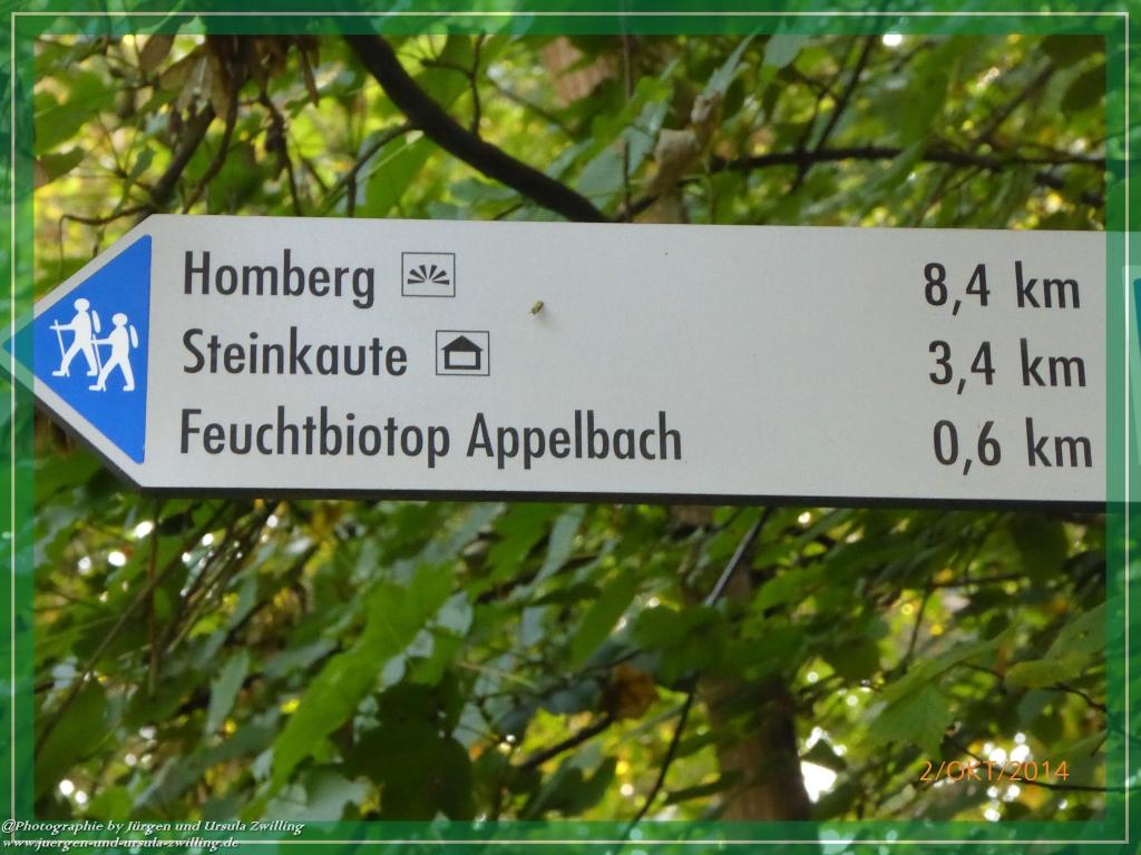 Philosophische Bildwanderung Hiwweltour-Tiefenthaler Höhe