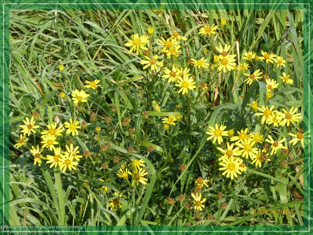 Philosophische Bildwanderung Hiwweltour-Tiefenthaler Höhe