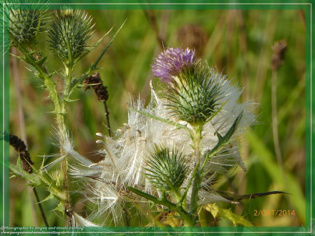 Philosophische Bildwanderung Hiwweltour-Tiefenthaler Höhe