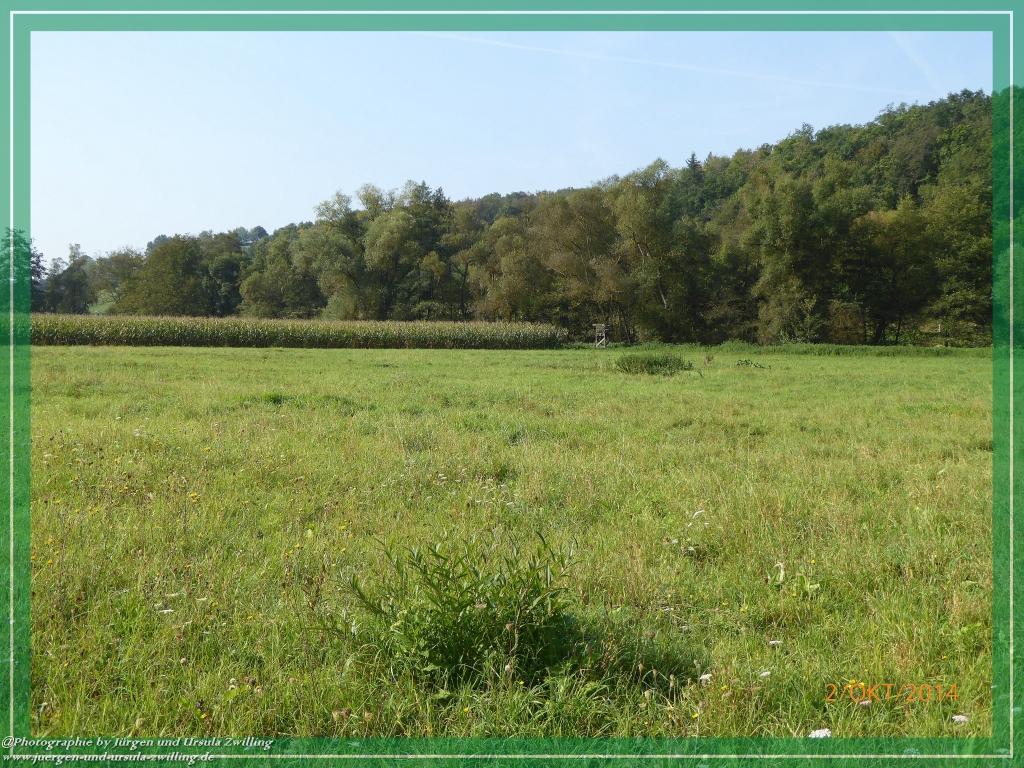 Philosophische Bildwanderung Hiwweltour-Tiefenthaler Höhe