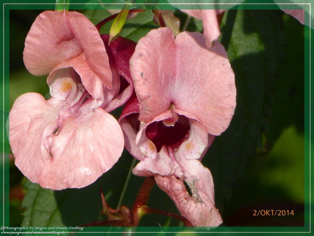 Philosophische Bildwanderung Hiwweltour-Tiefenthaler Höhe