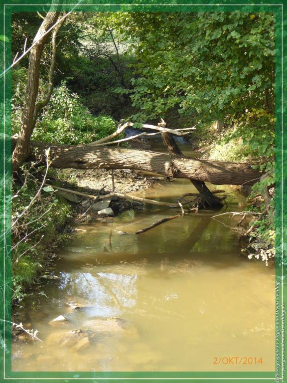 Philosophische Bildwanderung Hiwweltour-Tiefenthaler Höhe