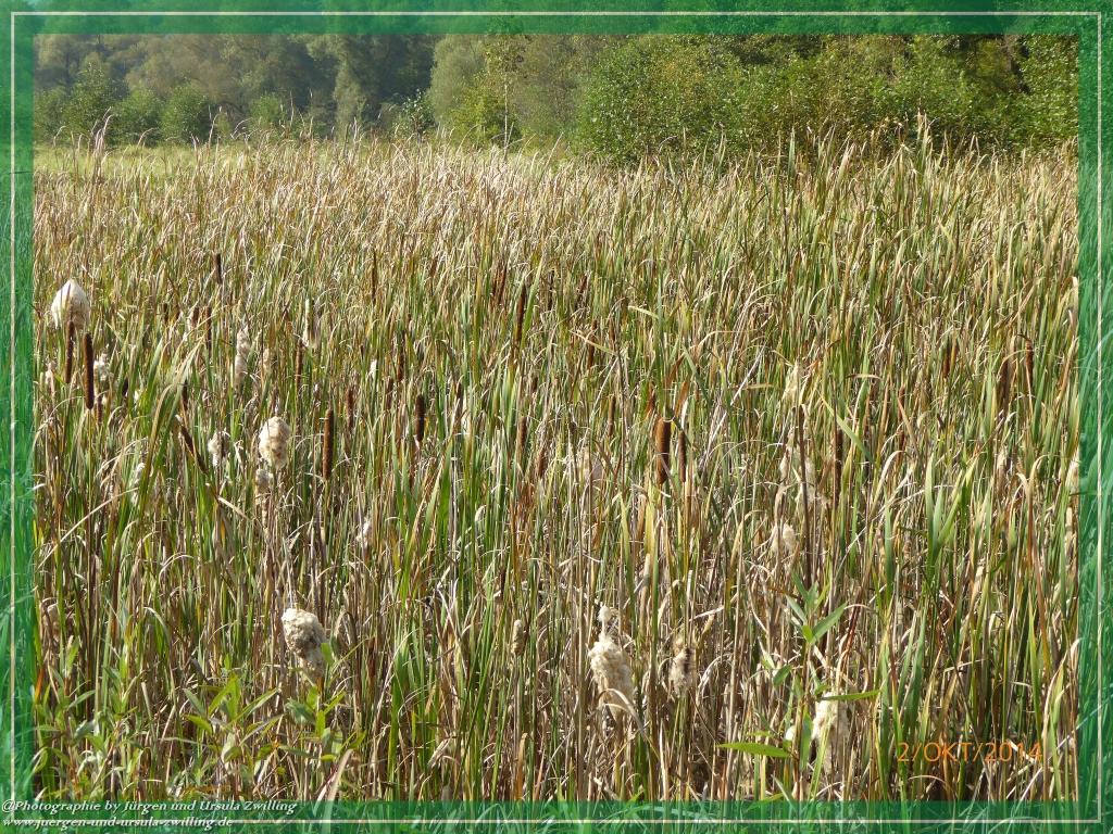 Philosophische Bildwanderung Hiwweltour-Tiefenthaler Höhe